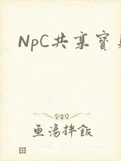 NpC共享宝贝
