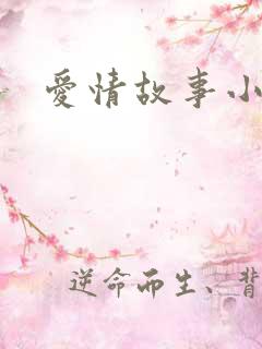 爱情故事小说