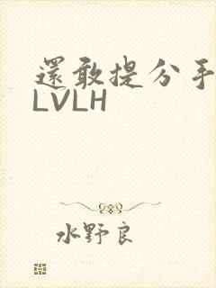 还敢提分手吗嗯LVLH