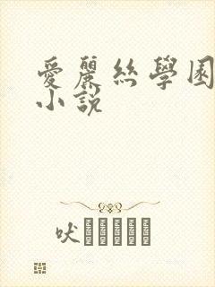 爱丽丝学园同人小说