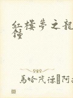 红楼梦之龙套秦钟