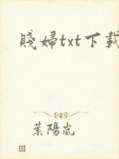 贱妇txt下载