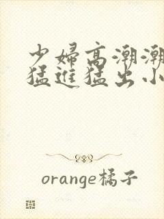 少妇高潮潮喷到猛进猛出小说