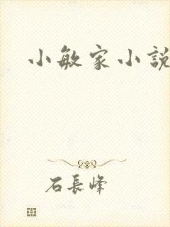 小敏家小说