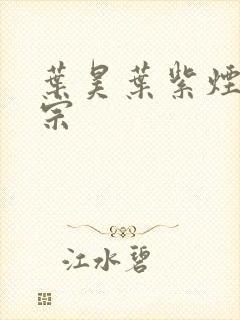 叶昊叶紫烟老祖宗