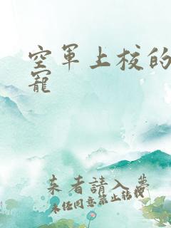 空军上校的邪魅宠