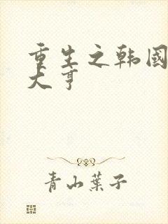 重生之韩国娱乐大亨