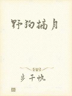 野狗摘月