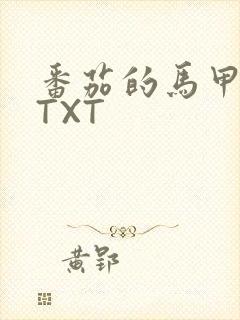 番茄的马甲小说TXT