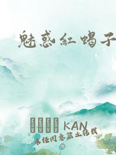 魅惑红蝎子