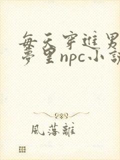 每天穿进男神的梦里npc小说txt