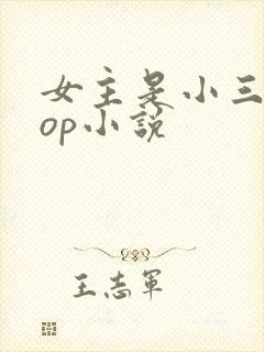 女主是小三的pop小说