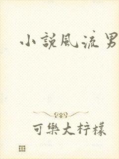 小说风流男护理