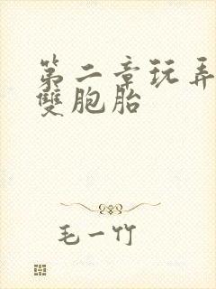 第二章玩弄少妇双胞胎