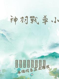 神羽战尊小说