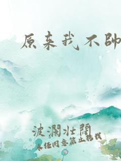 原来我不帅小说