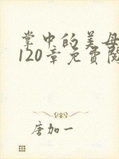 掌中的美母版主120章免费阅读