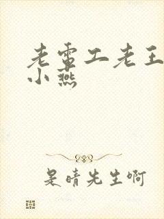 老电工老王和李小燕