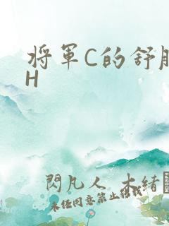 将军C的舒服么H