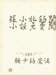 张小北的开光师小说免费阅读怎么没有276章