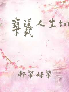 霸道人生txt下载