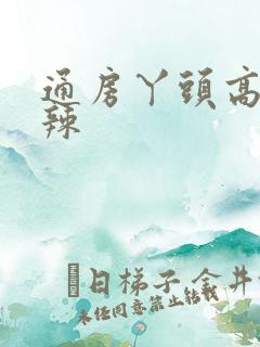 通房丫头高h肉辣