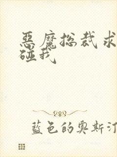 恶魔总裁求你别碰我