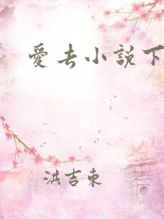 爱去小说下载网