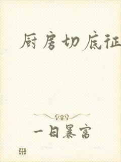 厨房切底征服岳