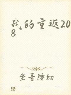 我的重返2008
