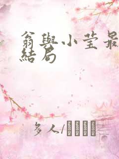 翁与小莹最新大结局