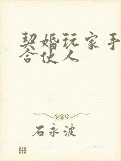 契婚玩家手册之合伙人