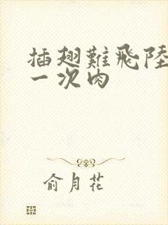 插翅难飞陆进第一次肉