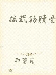 总裁的赎爱宝贝