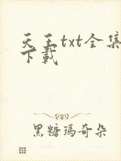 天王txt全集下载