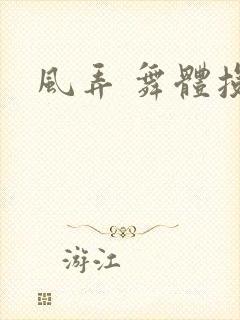 风弄 舞体投递