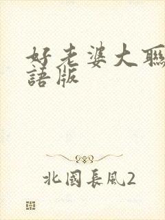 好老婆大联盟国语版