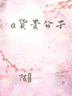 a货贵公子