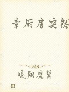 章厨房突然挺入