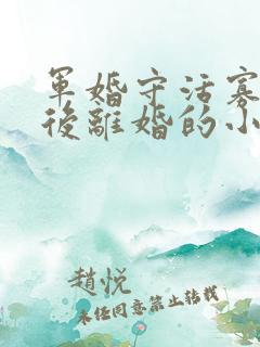 军婚守活寡重生后离婚的小说