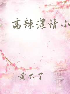 高辣浓情小说