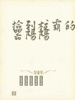 捡到校霸的遥控器阳阳