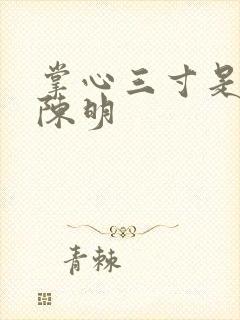 掌心三寸是人间陈明