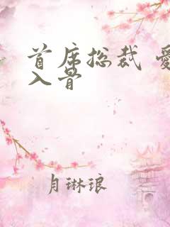 首席总裁 爱你入骨
