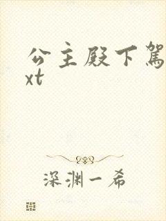 公主殿下驾到txt