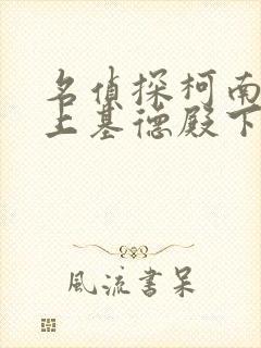 名侦探柯南之赖上基德殿下