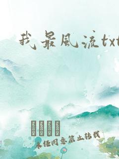 我最风流txt