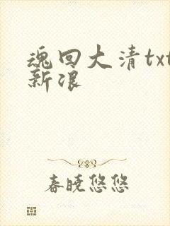 魂回大清txt新浪
