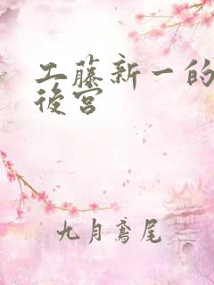 工藤新一的日本后宫