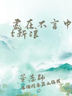 尽在不言中txt新浪